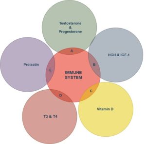 What Effect Do Hormones Have on the Immune System?