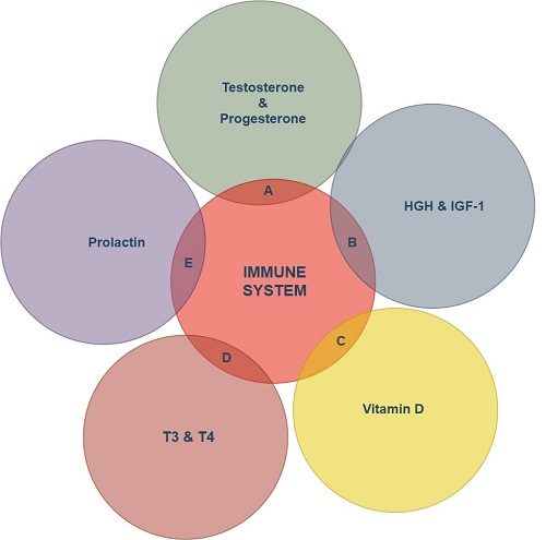 Hormones that affect Immunity