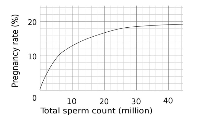 Connection between sperm count and pregnancy rate-min