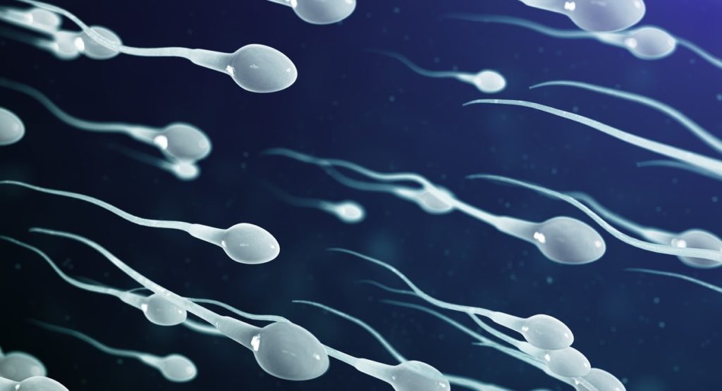 How Testosterone Levels Affect Sperm Production and Fertility in Men?