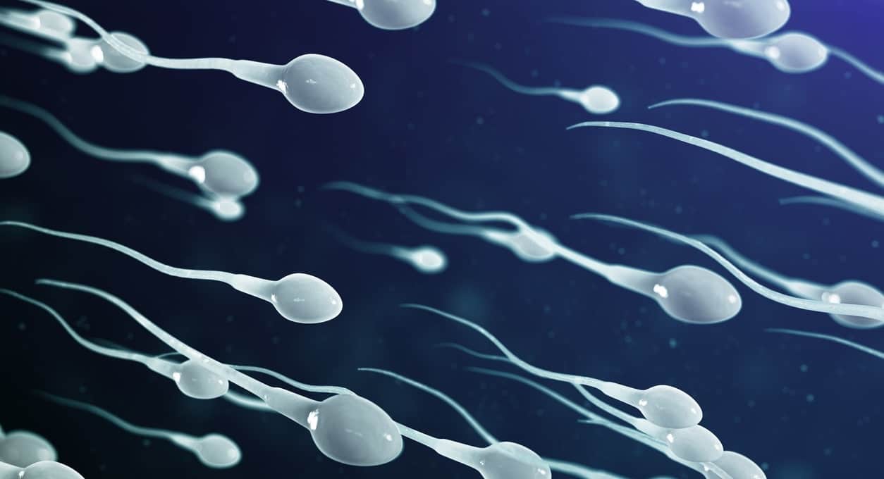 The Connection Between Testosterone, Sperm Production, and Fertility