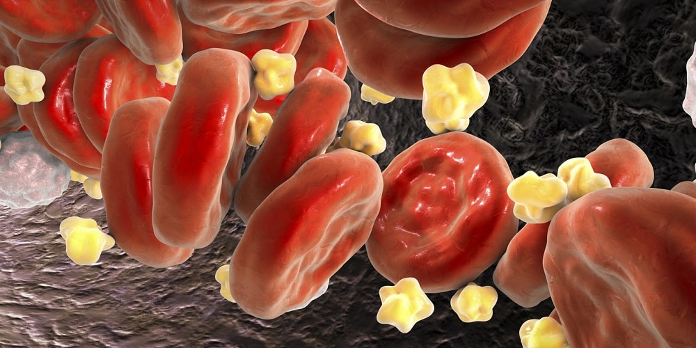 Cholesterols are fatty molecules that exist in all human cells-min