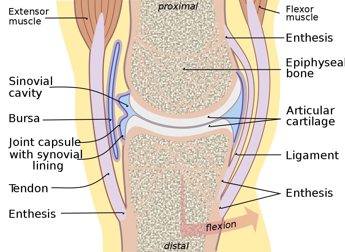 joint structure