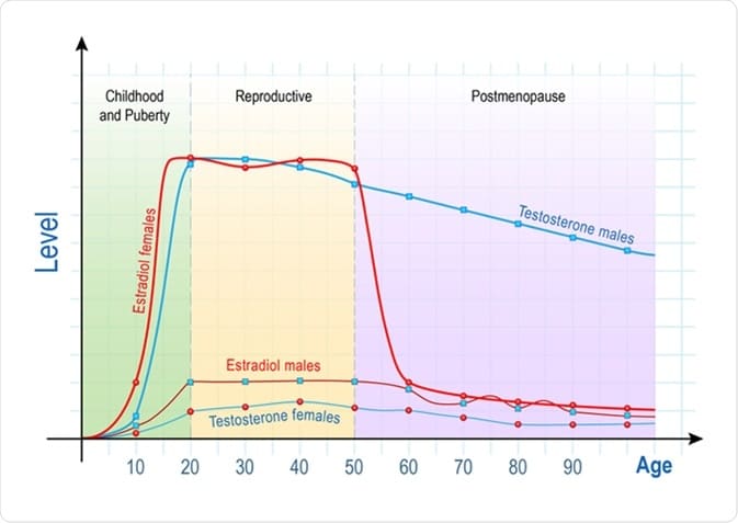 Chart Hormone levels in women through lifetime