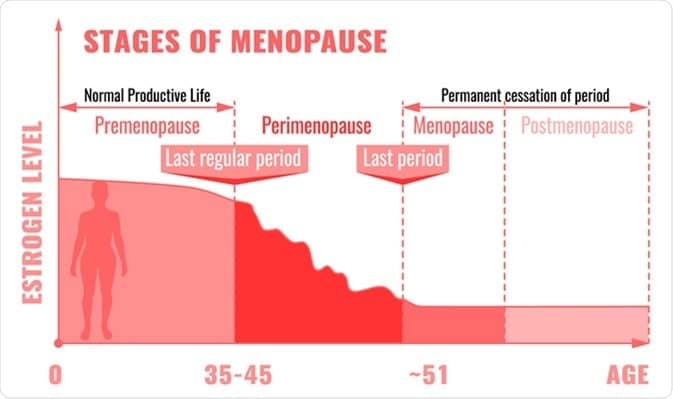 Stages of Menopause