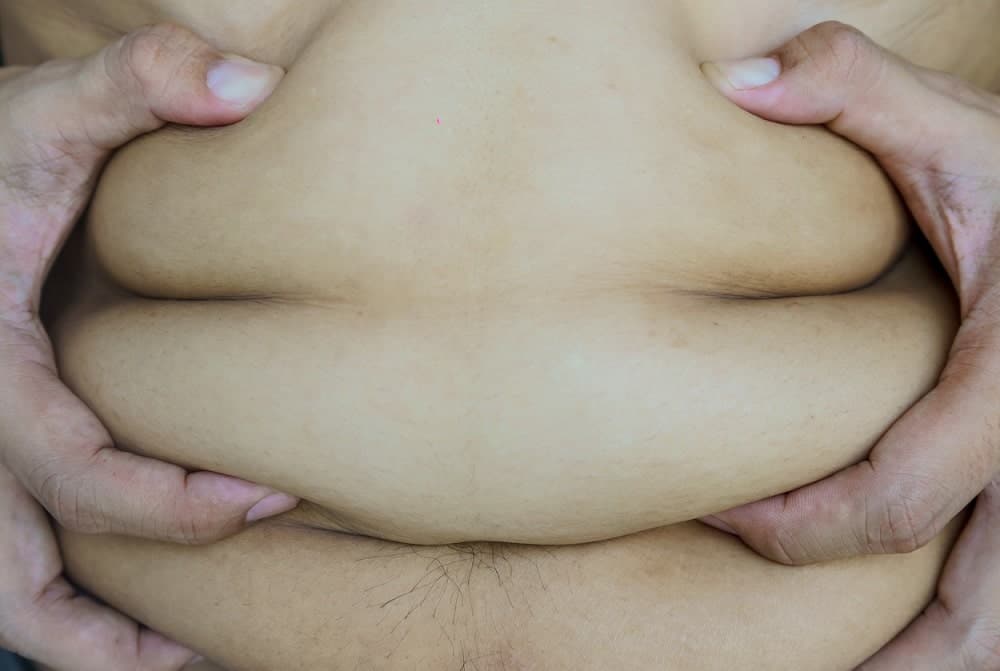 Excessive Body Fat and Libido