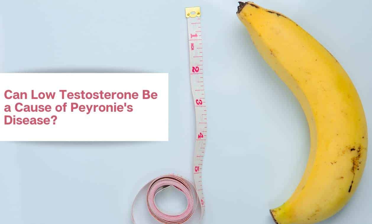 Can Low Testosterone Be a Cause of Peyronie's Disease