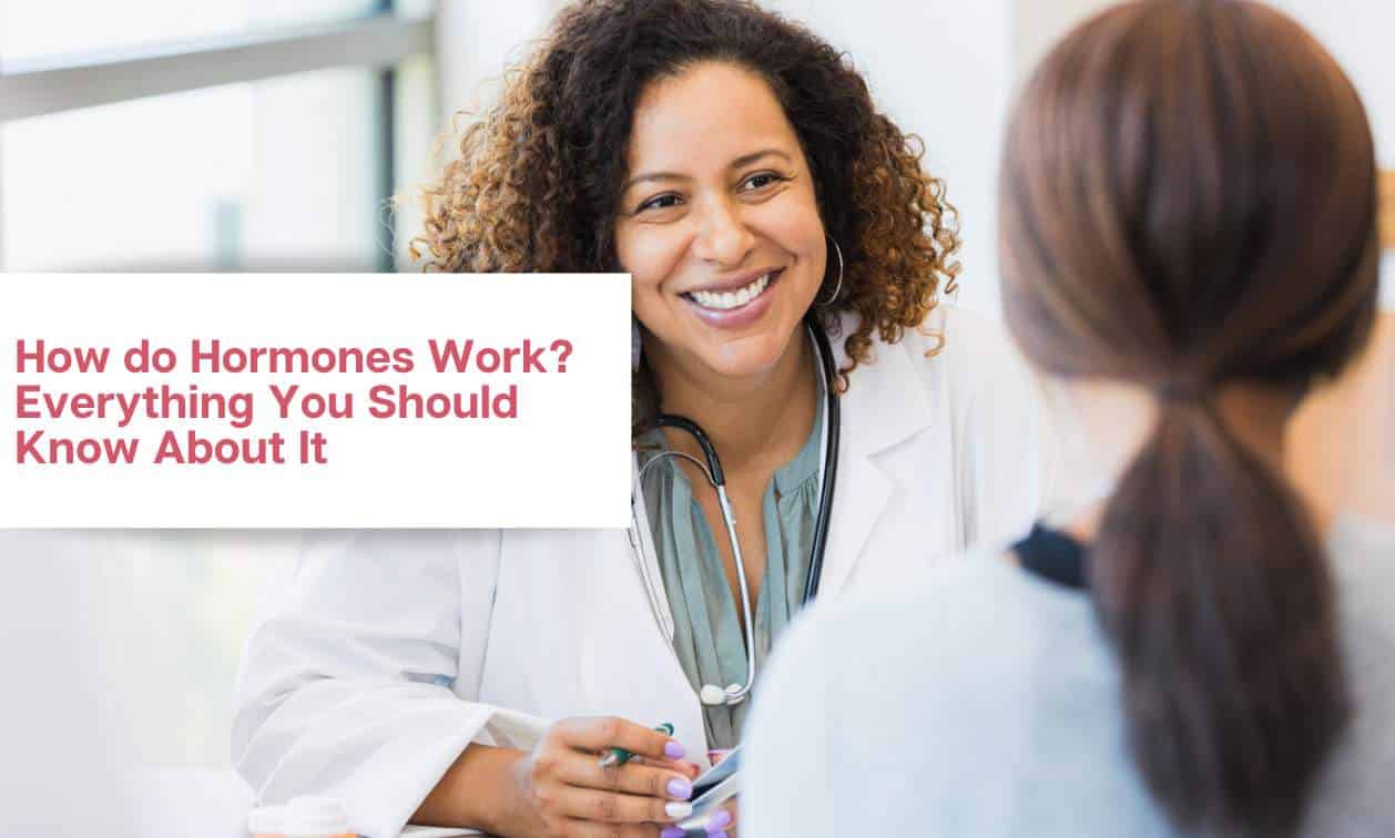 How do Hormones Work Everything You Should Know About It