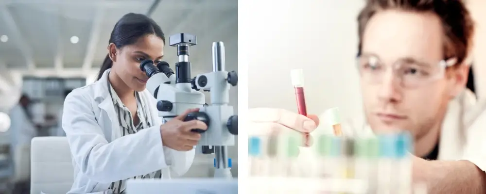 Laboratory research comparing Ipamorelin therapy and human growth hormone (HGH) to support growth hormone optimization