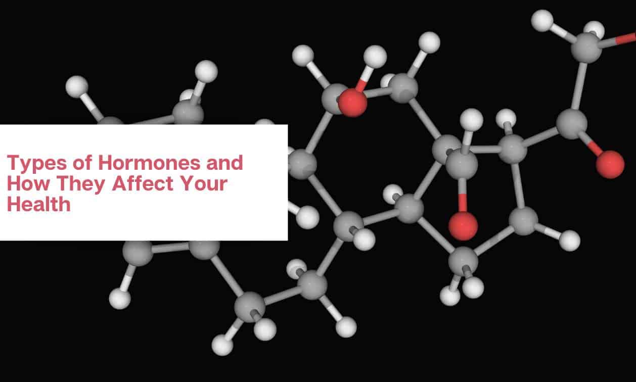 The Different Types of Hormones | Why Are They Important?