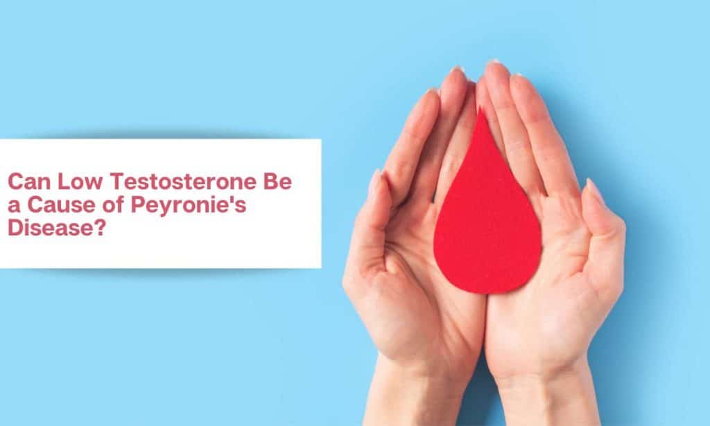 Unexplained Anemia How Are Your Testosterone Levels Connected to It?