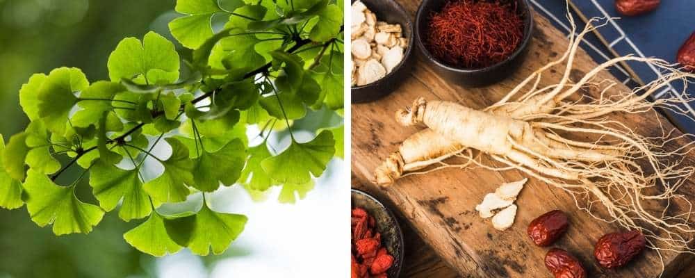 ginkgo and giseng help naturally increase sex drive in men