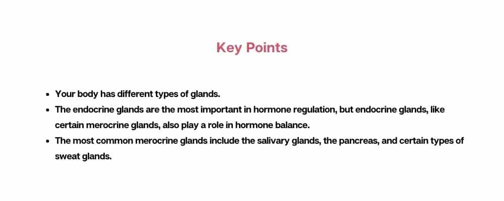key points about merocrine glands
